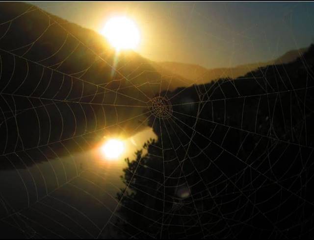 LAND FOR SALE IN DANA BAY